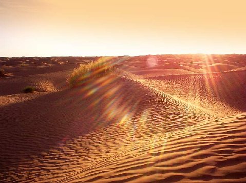 Rallye des Gazelles - les dunes