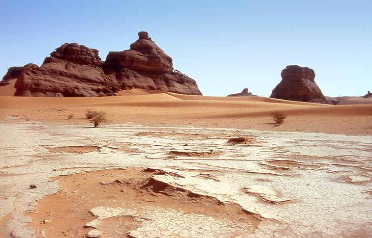 Rallye des Gazelles - Désert