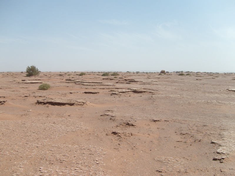 Rallye des gazelles 2009 - OUED DRAA