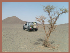 Rallye des Gazelles 2011 - Etape 5