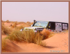 Rallye des Gazelles 2011 - Etape 5 jour 2