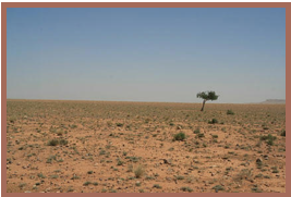 Rallye des Gazelles 2011 - Etape 3