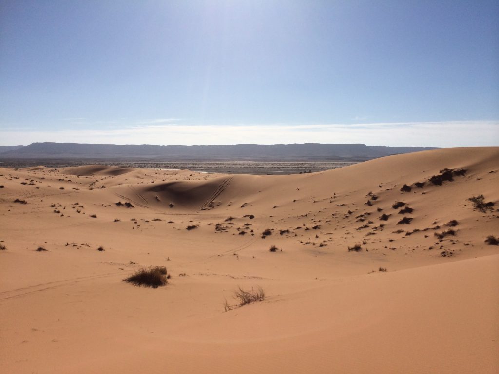 Rallye des gazelles 2014 _ OUZINA