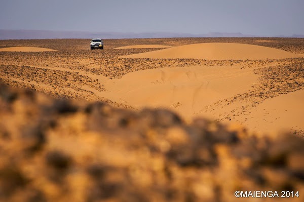 Rallye des gazelles - désert