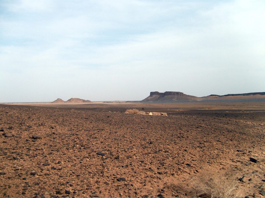 Rallye gazelles 2015 desert