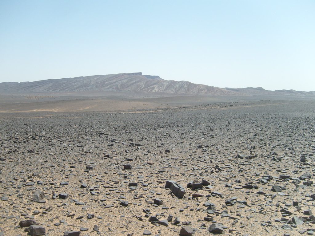 Rallye Gazelles 2015