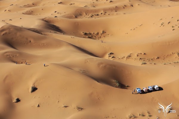 Rallye-gazelles-2015-cap-medina-17