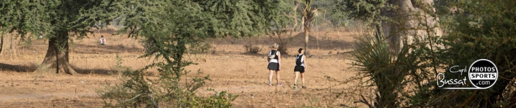 Header 2 Senegazelle