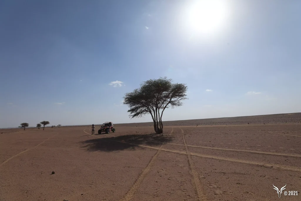 2021 ralllye des gazelles