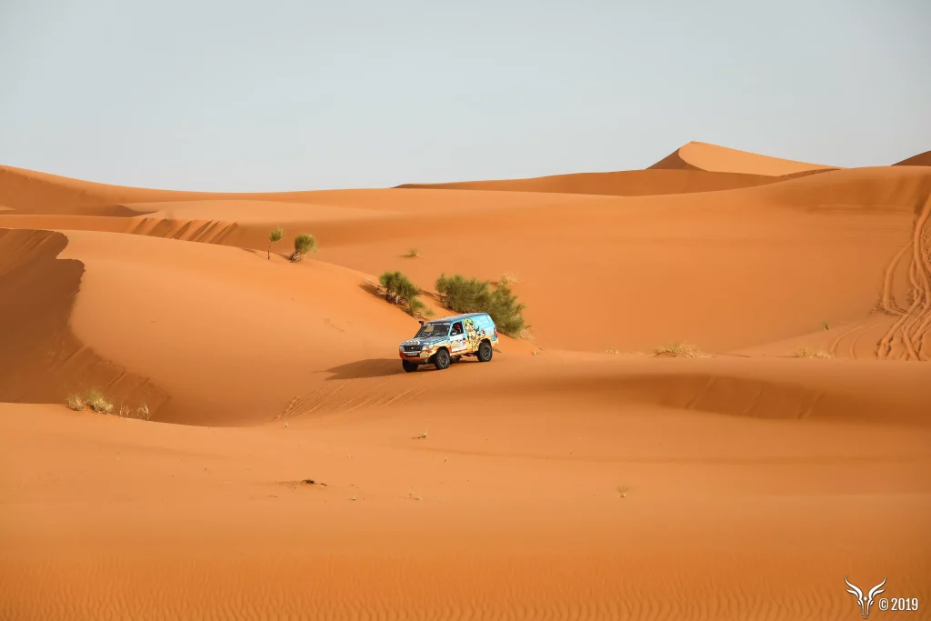 Rallye des gazelles 2019 Cap Medina