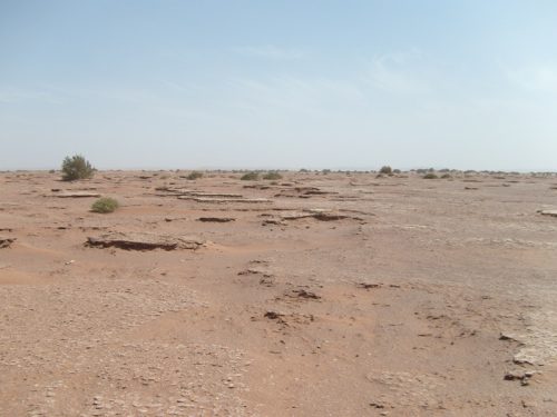 Rallye des gazelles 2009 - OUED DRAA